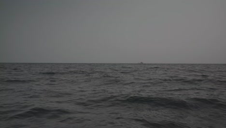 few dolphines swimming in the surface of los gigantes area in volcanic tenerife canary spain. clear day