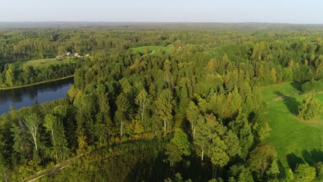 Bosque-De-Otoño-Y-Prado-Verde