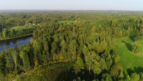 autumn forest and green meadow