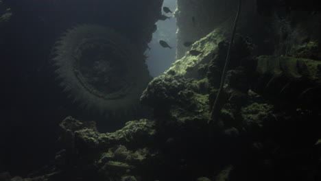 ss thistlegorm to jeden z najsłynniejszych na świecie wraków przewożących sprzęt wojskowy podczas ii wojny światowej, przyciąga wielu nurków ze względu na ilość ładunku, który można zobaczyć i zbadać