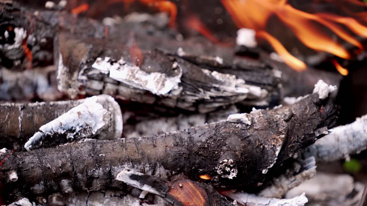 Fire flame close up. Warm fireplace with lots of trees ready for barbecue
