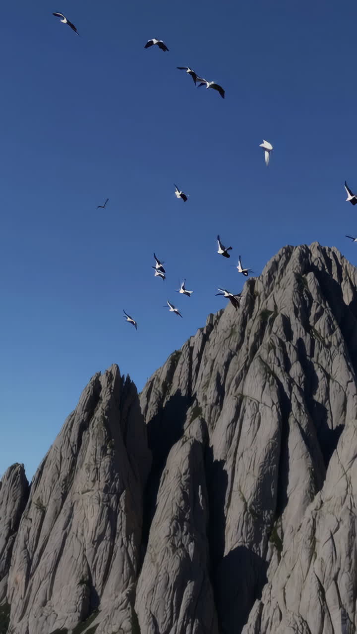 Birds Flying Over Rocky Mountains