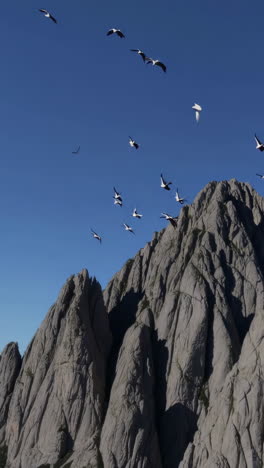 birds flying over rocky mountains