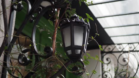 ornate black lantern with ivy on wrought iron mount