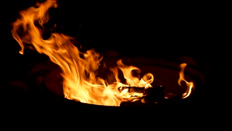 saludable fuego de campamento ardiente - hermoso fuego de fogata nocturno 60 fps cámara lenta