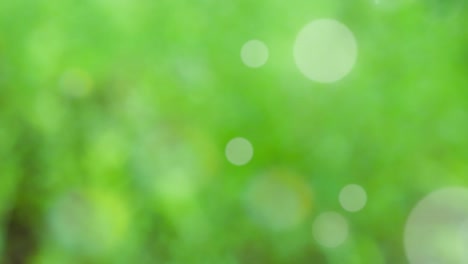 Abstract spring background with bokeh