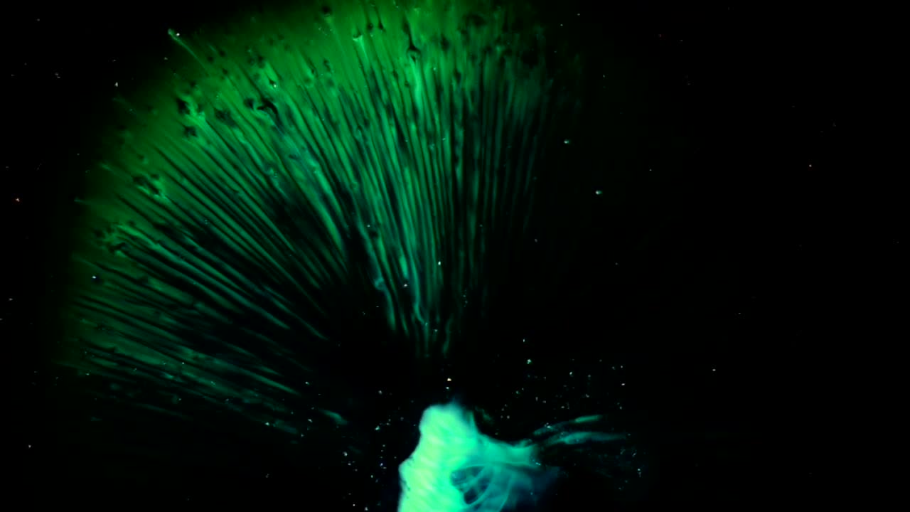 The famous Green Falls of Fithian, Illinois plummet 8,000 feet to a soybean field - an all natural AbstractVideoClip