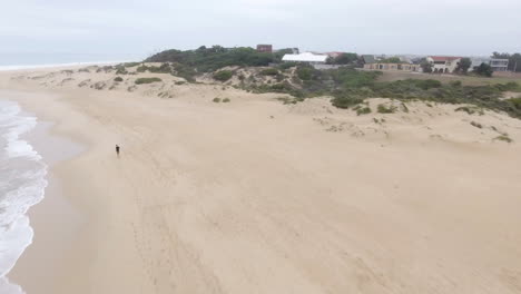 vuelo aéreo a lo largo de una playa exótica en sudáfrica