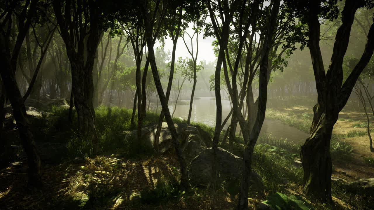 Enchanting forest landscape with serene water body in the early morning glow