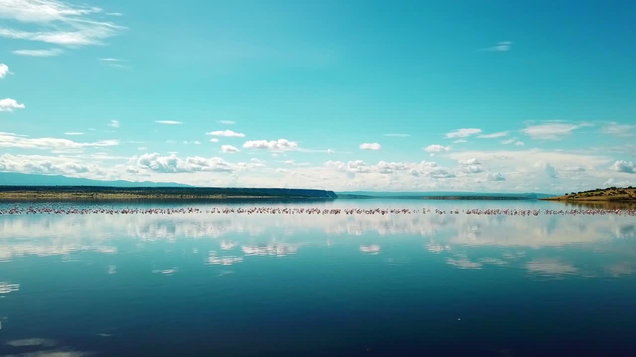 아프리카 케냐에 떠 있는 플라밍고가 있는 마가디 호수의 고요한 물에 반사