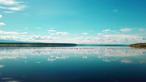 reflexiones sobre el agua serena del lago magadi con flamencos flotantes en kenia, áfrica