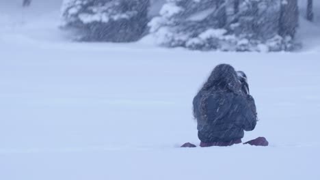 photographer in blizzard in banff alberta canada