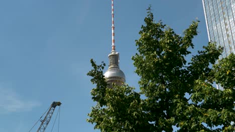 Summer-In-Berlin,-Berliner-Fernsehturm-Building-In-The-Background