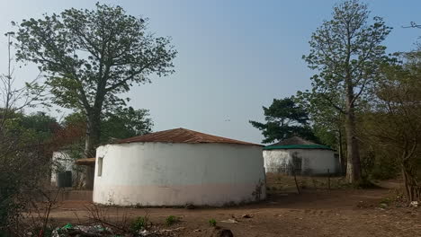 Round-houses-surrounded-by-large-trees-in-a-village-in-Guinea-Bissau