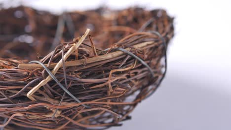 close-up of a bird's nest