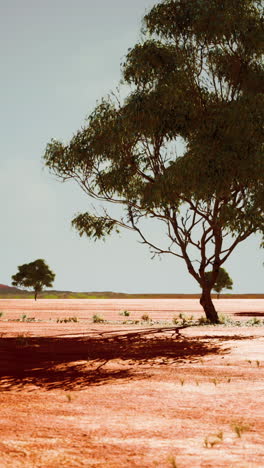 un árbol solitario se alza en un campo de hierba marrón y roja