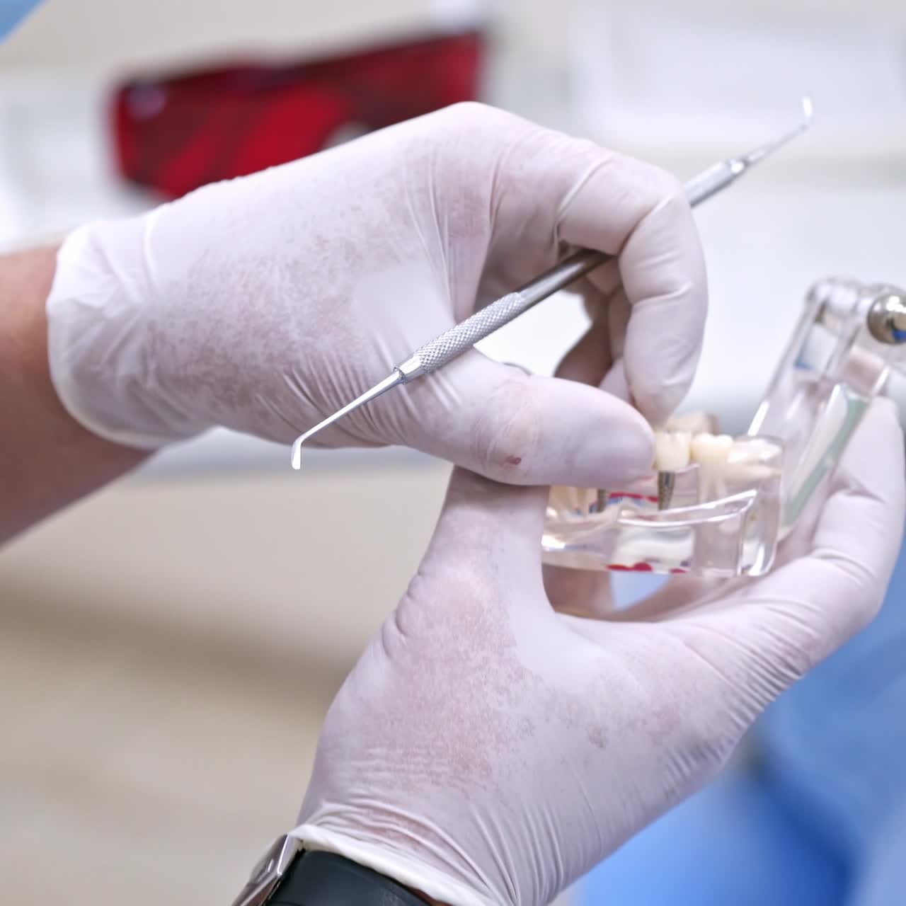 Doctor holding teeth jaw model