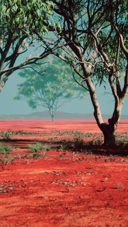 red desert landscape with eucalyptus trees