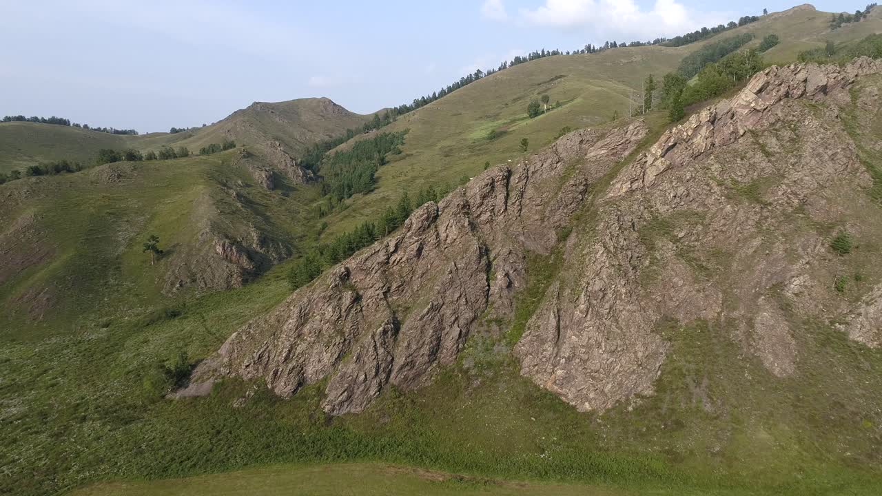 paisaje de verano con cabras de montaña