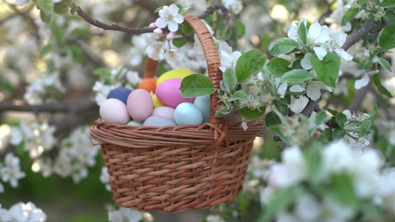 painted Easter eggs in basket on grass. Traditional decoration in sun light