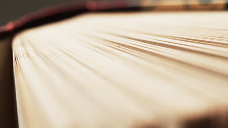 micro de páginas de libros y espacio de copia en fondo gris