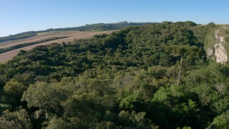 Furna-Grande-Sinkhole,-Nationalpark-Campos-Geral,-Stadt-Ponta-Grossa,-Brasilien