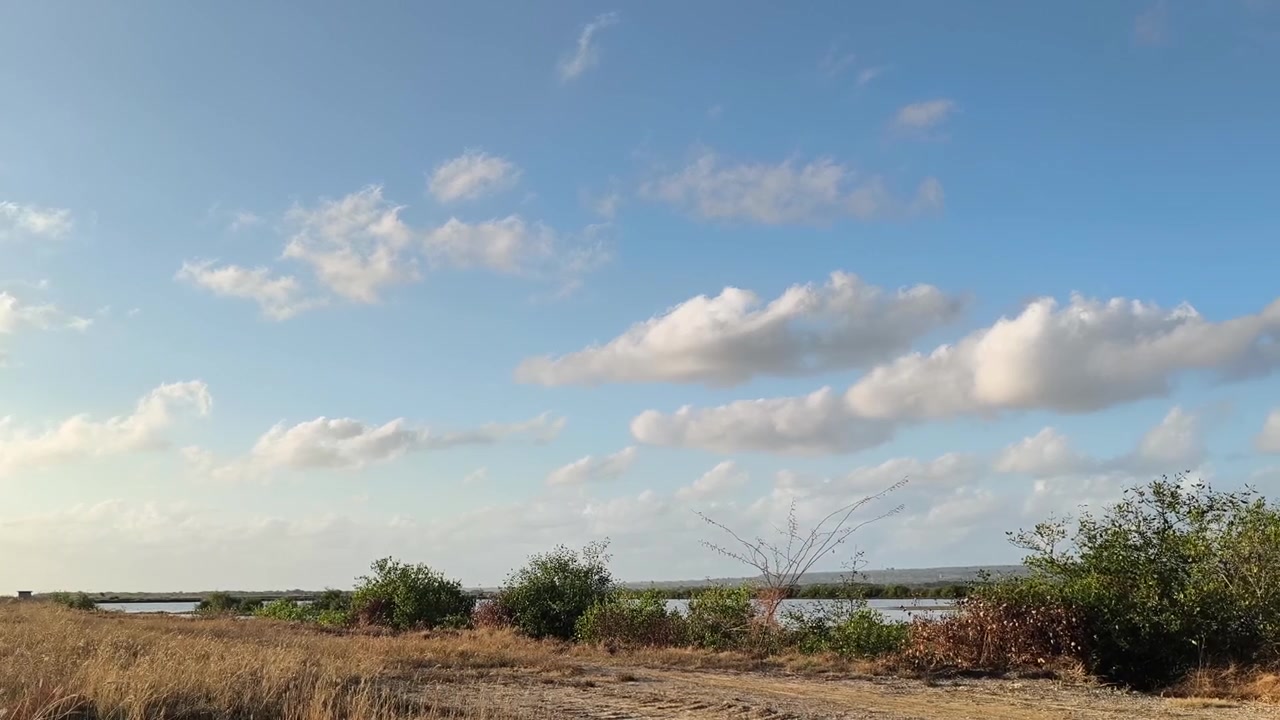 Pemandangan Indah dengan Padang Rumput Kering dan Danau Jauh di Bawah Langit Biru