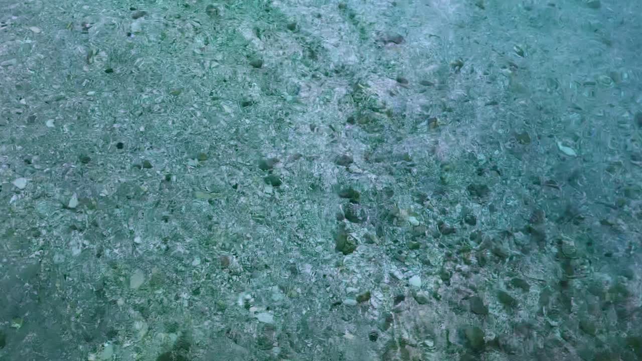 물이 거의 10피트 깊이임에도 불구하고 얕은 곳의 매우 맑은 물, 슬로우 모션으로 보면 2피트 깊이에 불과한 것처럼 보입니다.