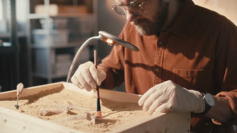 archaeologist excavating bones from sand-filled tray in laboratory