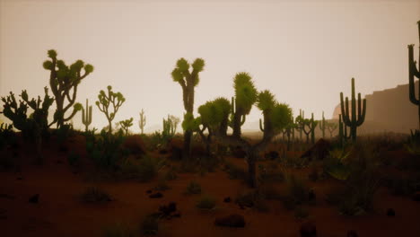 Sand-dunes-against-sky-before-sunrise