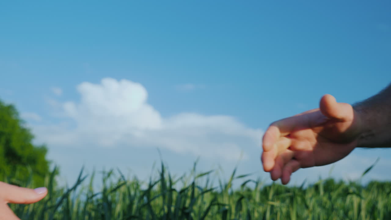 un agricultor le da la mano a una mujer en el contexto de un campo de trigo verde video 4k