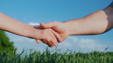 A Man Farmer Shakes Hands With A Woman Against The Background Of A Green Wheat Field 4K Video