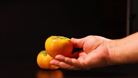 hand gently examines and holds a persimmon