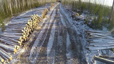 logging operation in snowy forest