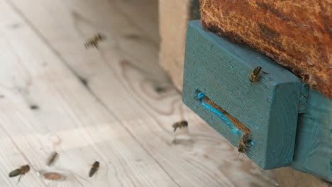honeybees flying around a wooden beehive entrance