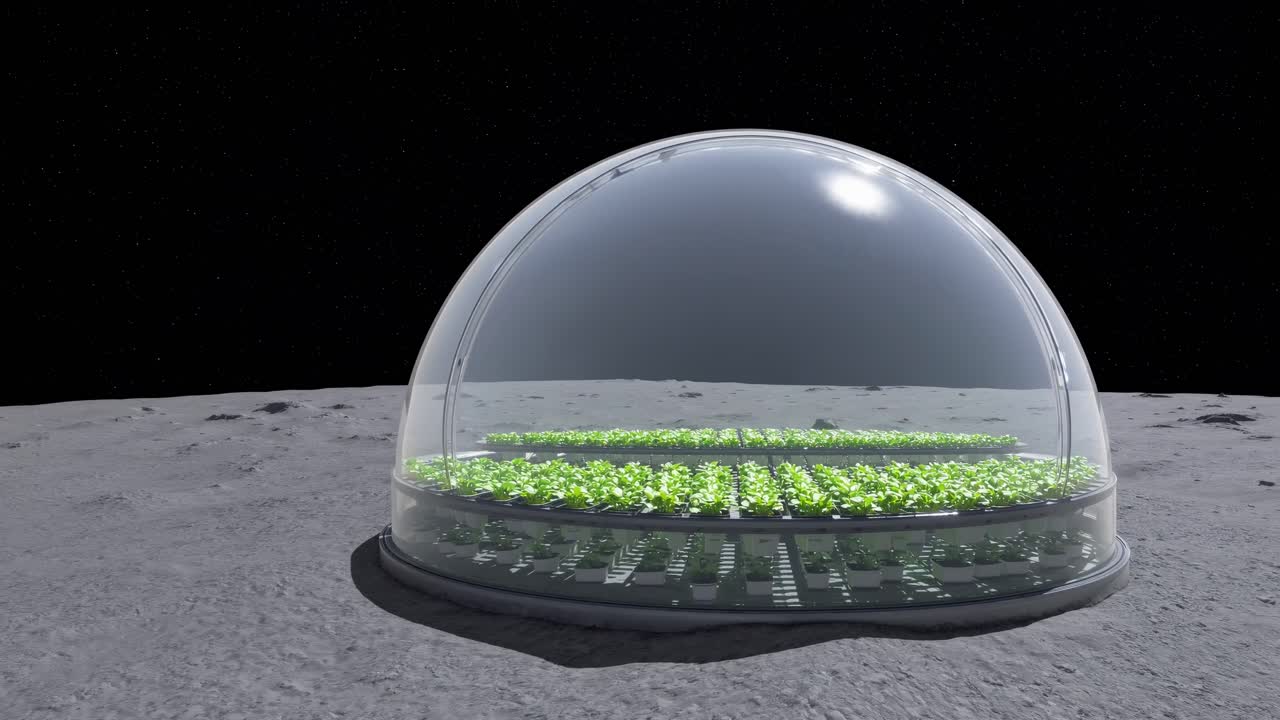 Rows of lettuce growing inside a transparent geodesic dome placed on the Moon surface, representing the concept of space colonization and sustainable agriculture in extraterrestrial environments