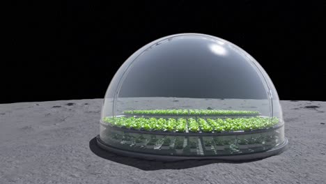 rows of lettuce growing inside a transparent geodesic dome placed on the moon surface, representing the concept of space colonization and sustainable agriculture in extraterrestrial environments