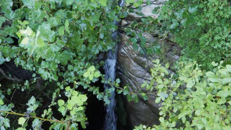 inclinar hacia abajo un pequeño canal de cascada en la ranura del lecho rocoso, plantas verdes húmedas