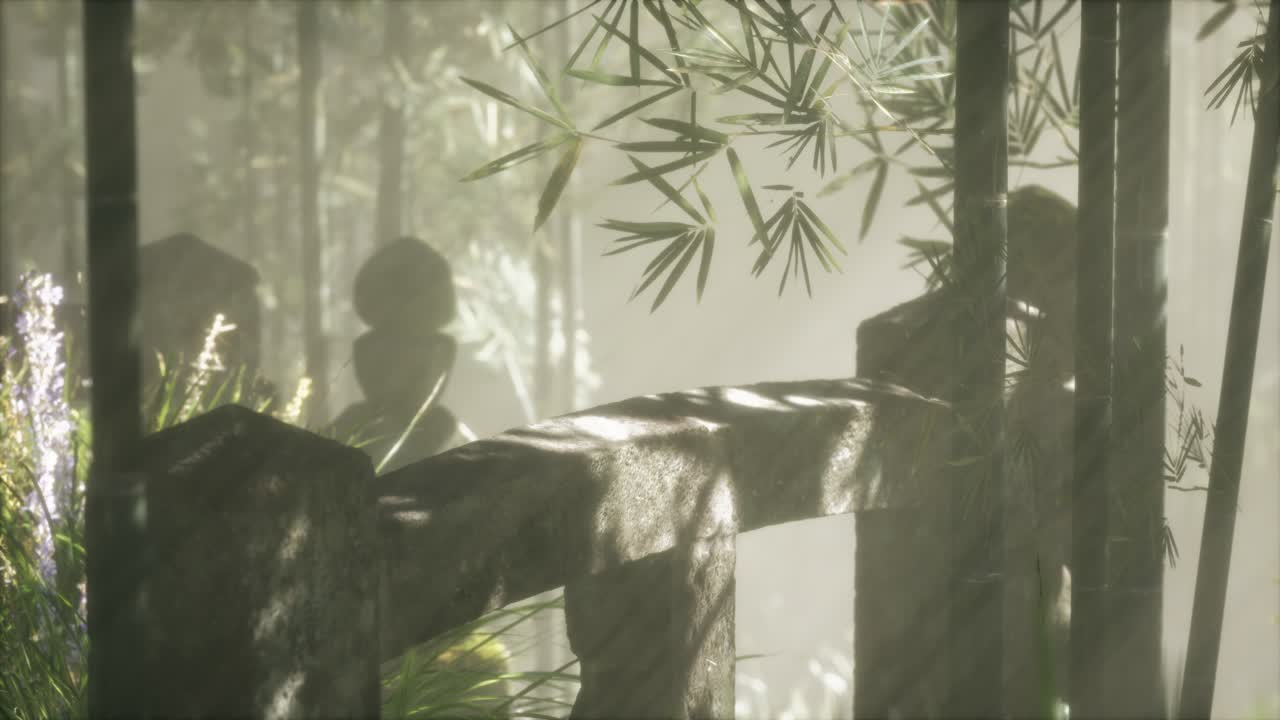 일본 대나무 숲 과 녹색 초원 잔디 와 자연 빛