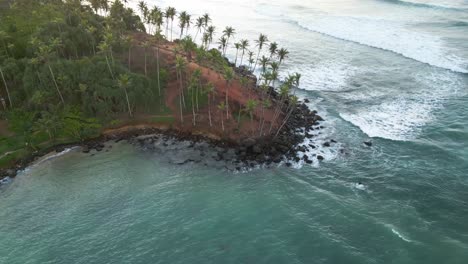 aerial of the sri lankan shore, full of coconut trees, during sunrise