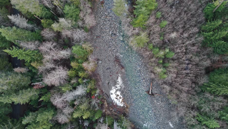 drone overhead of river and forest in the pacific northwest america