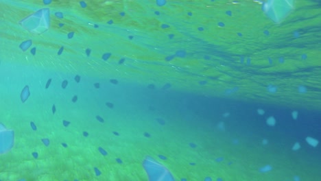 greenish underwater loop with particles