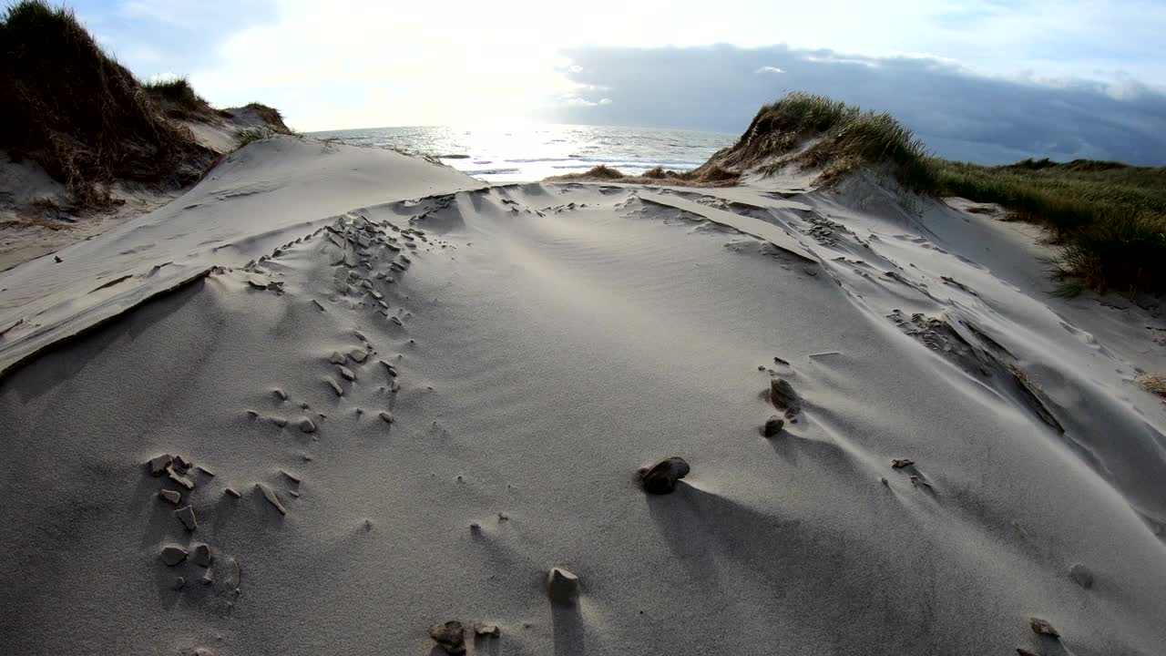Sand dunes with dune grass in the storm of the North Sea, hiking dunes, dike protection, Sondervig, Jutland, Denmark, 4k