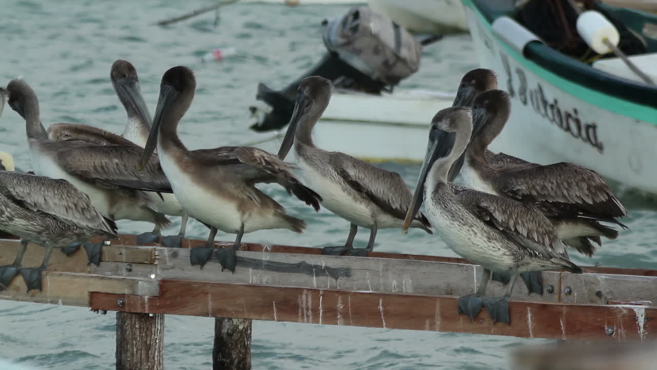 바다에서 오래된 나무 해적 선박
