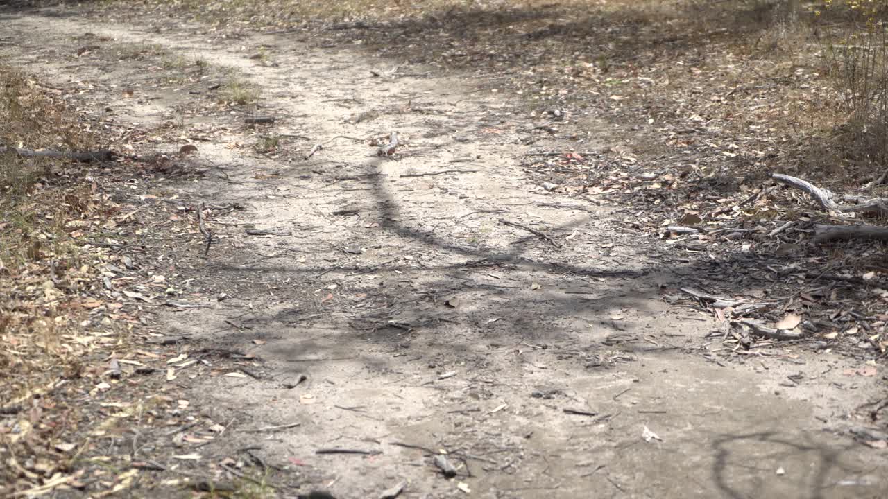 hombre huyendo de la cámara en el bosque