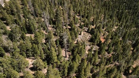 Un-Dron-Aéreo-Captura-Una-Vista-Cinematográfica-A-Vista-De-Pájaro-Del-Paisaje-Boscoso-Dentro-Del-Parque-Nacional-Bryce