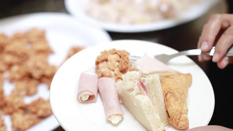 young-girl-holds-a-buffet-food-plate-with-various-appetizers,-closed-camera