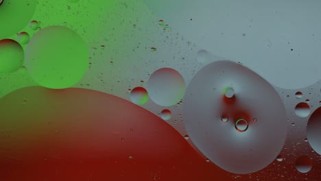 macro structure of colorful oil bubbles. chaotic motion. abstract multicolored background. pattern