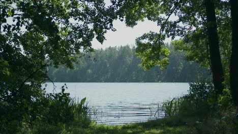 rippled water of lithuanian forest lake framed by