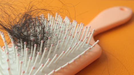 hair loss on a comb